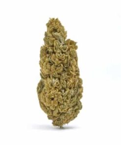 Casino Cookies CBD Hemp Flower