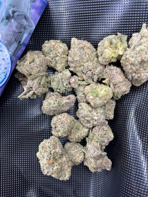 7F1F90A3-055D-4F01-8E88-1BD199CDD273-510x680