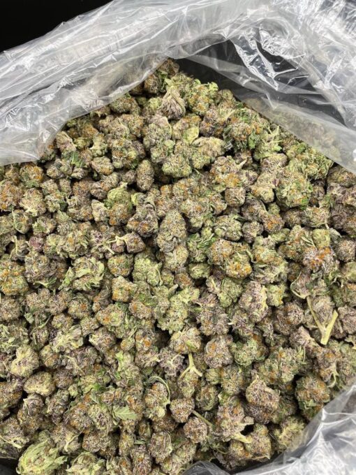 BE554D5A-EB63-43ED-BE06-97B386B9BFD7-510x680