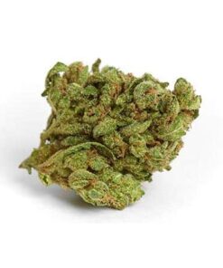 Blackberry Kush marijuana